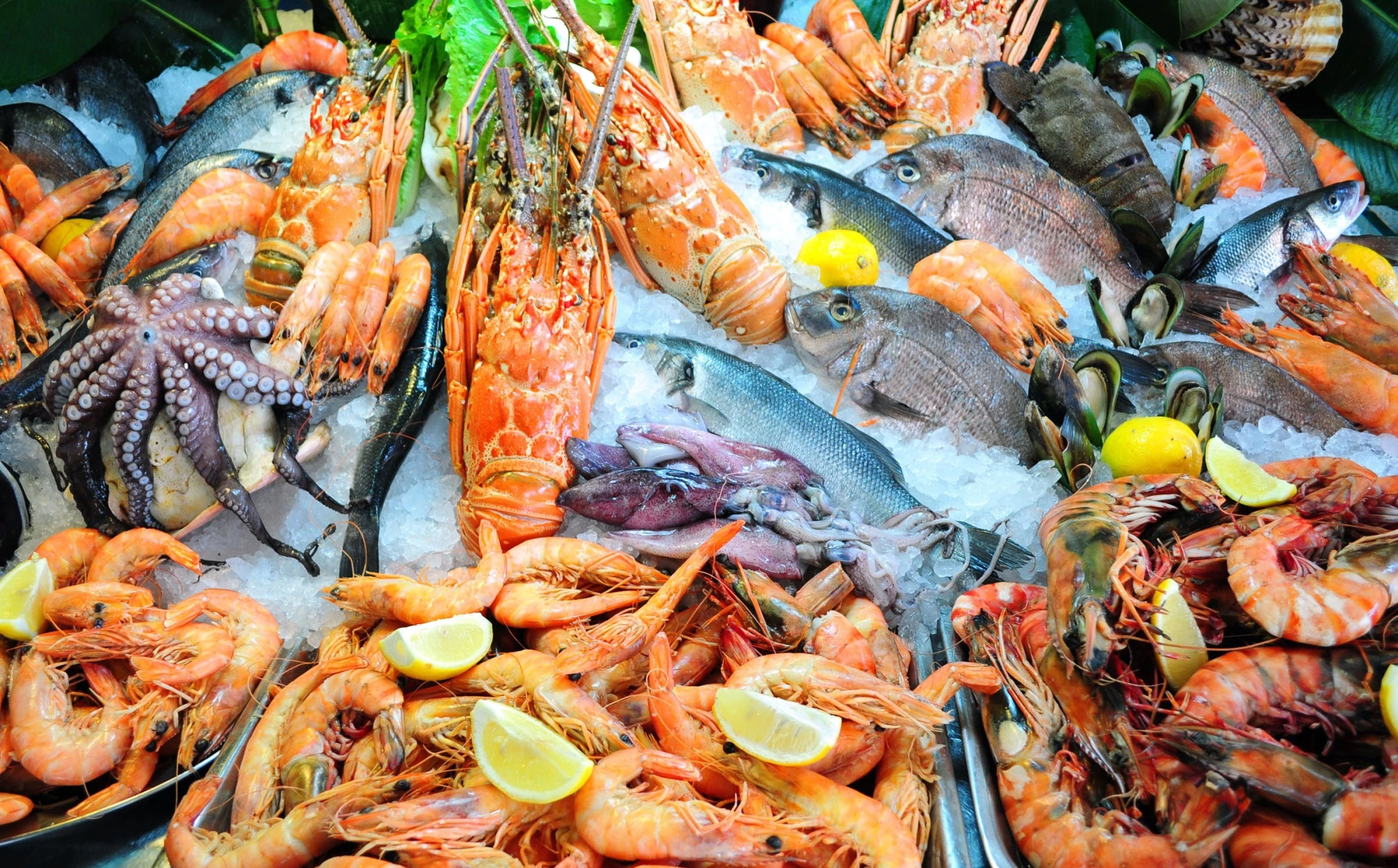 Seafood Batam Berkualitas: Kekayaan Hasil Laut dan Kontribusinya